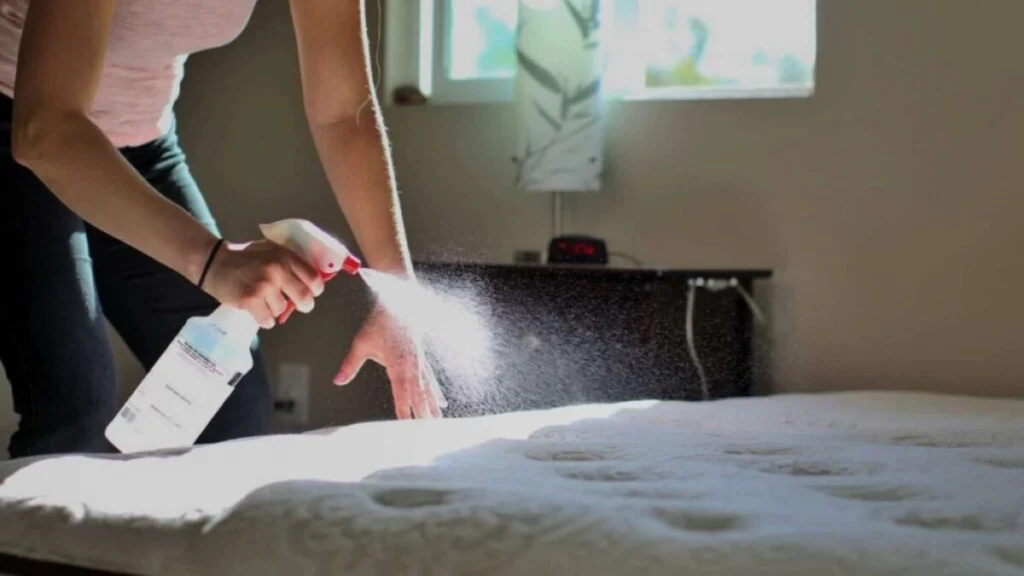 Por qué es importante la limpieza de colchones para hoteles?
